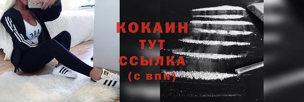 индика Лихославль