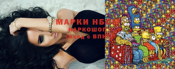 индика Лихославль