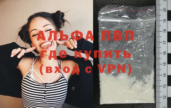ECSTASY Кукмор